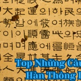 Top Những Câu Tiếng Hàn Thông Dụng mà bạn nên biết